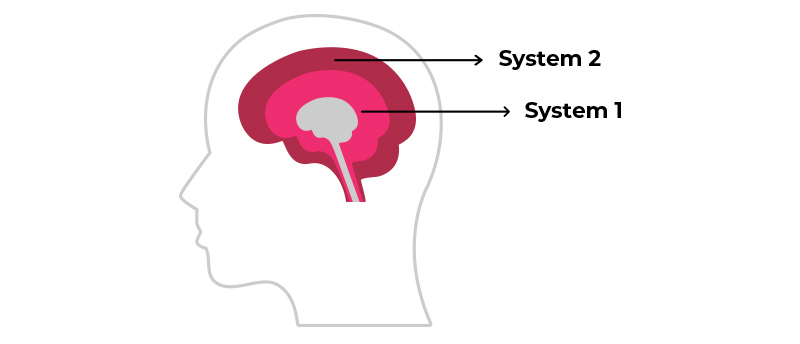 Lokalisation des System 1 und 2 im Gehirn